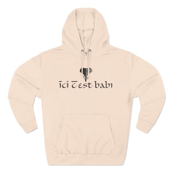 Three-Panel Fleece Hoodie ICB – Image 27