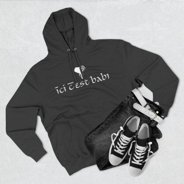 Three-Panel Fleece Hoodie ICB – Image 14