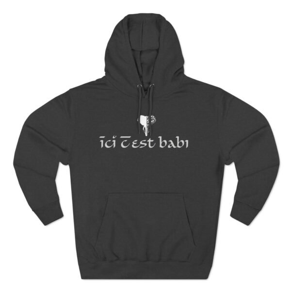 Three-Panel Fleece Hoodie ICB – Image 12