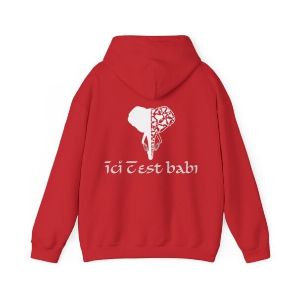 Unisex Heavy Blend™ Hooded Sweatshirt ICB – Image 34